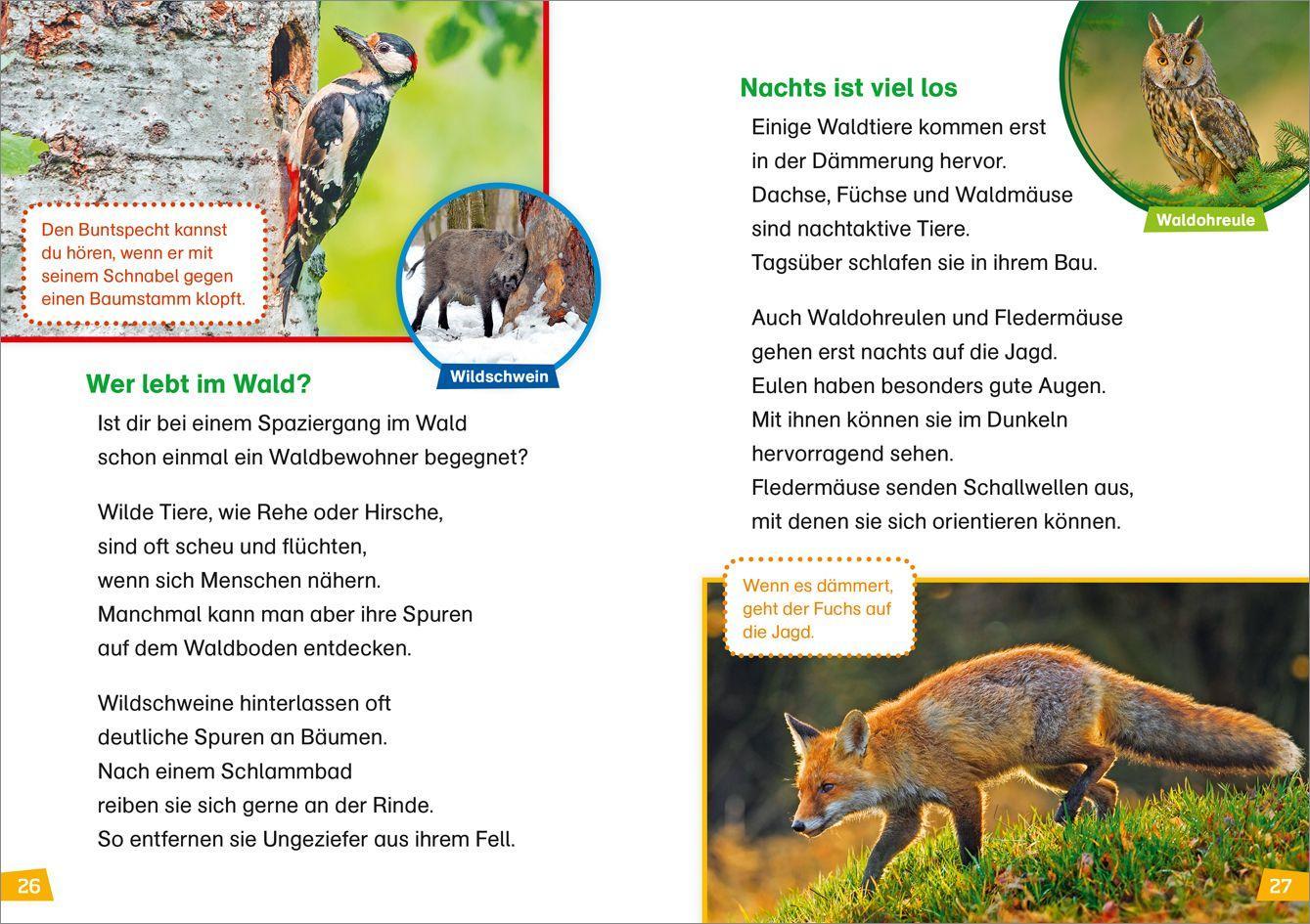 Beispielinhalt (Bild) WAS IST WAS Erstes Lesen Band 4. Natur entdecken