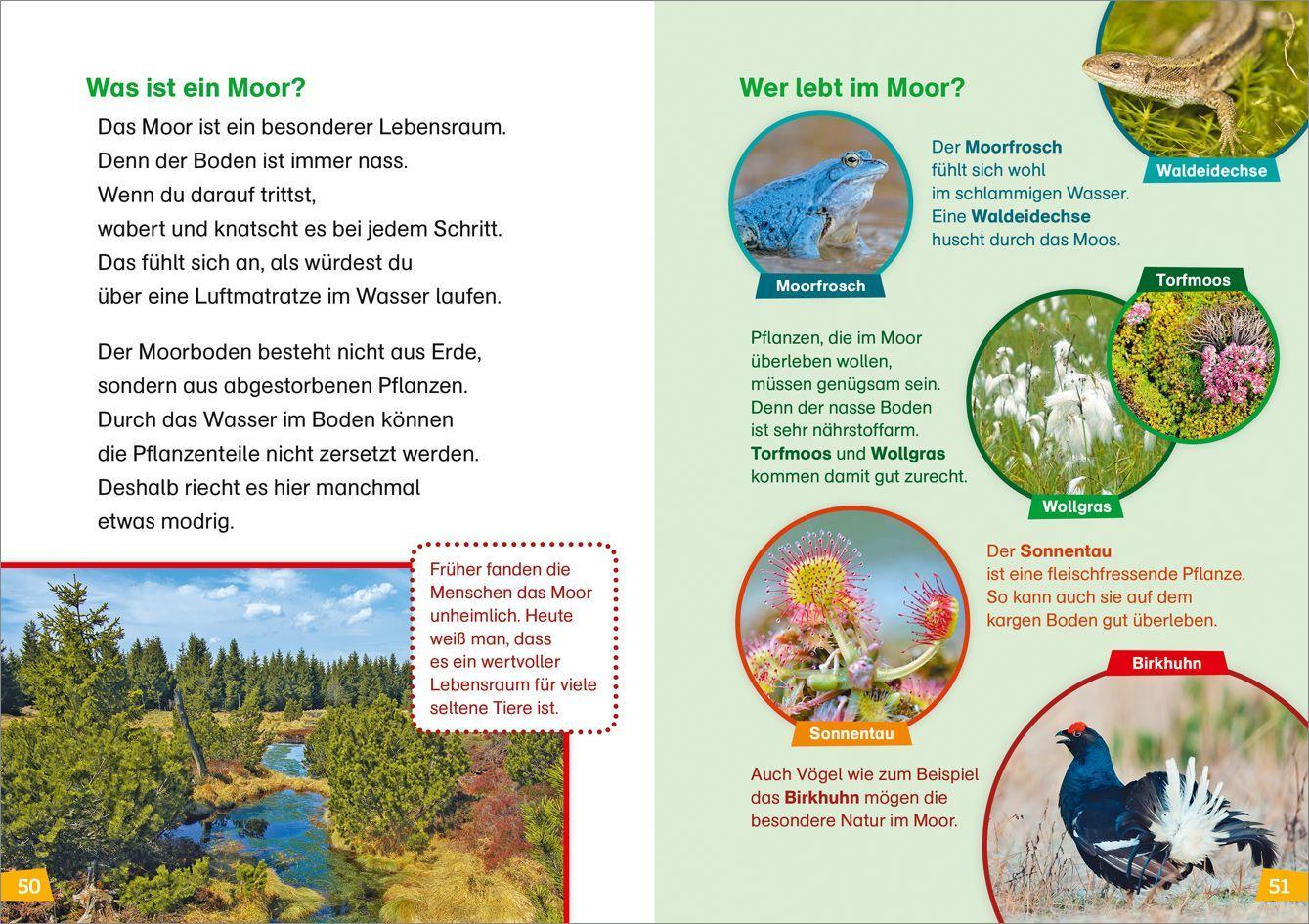 Beispielinhalt (Bild) WAS IST WAS Erstes Lesen Band 4. Natur entdecken