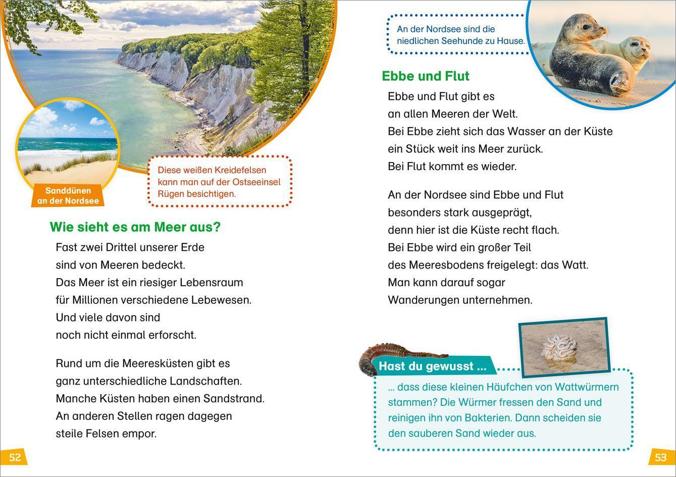 Beispielinhalt (Bild) WAS IST WAS Erstes Lesen Band 4. Natur entdecken