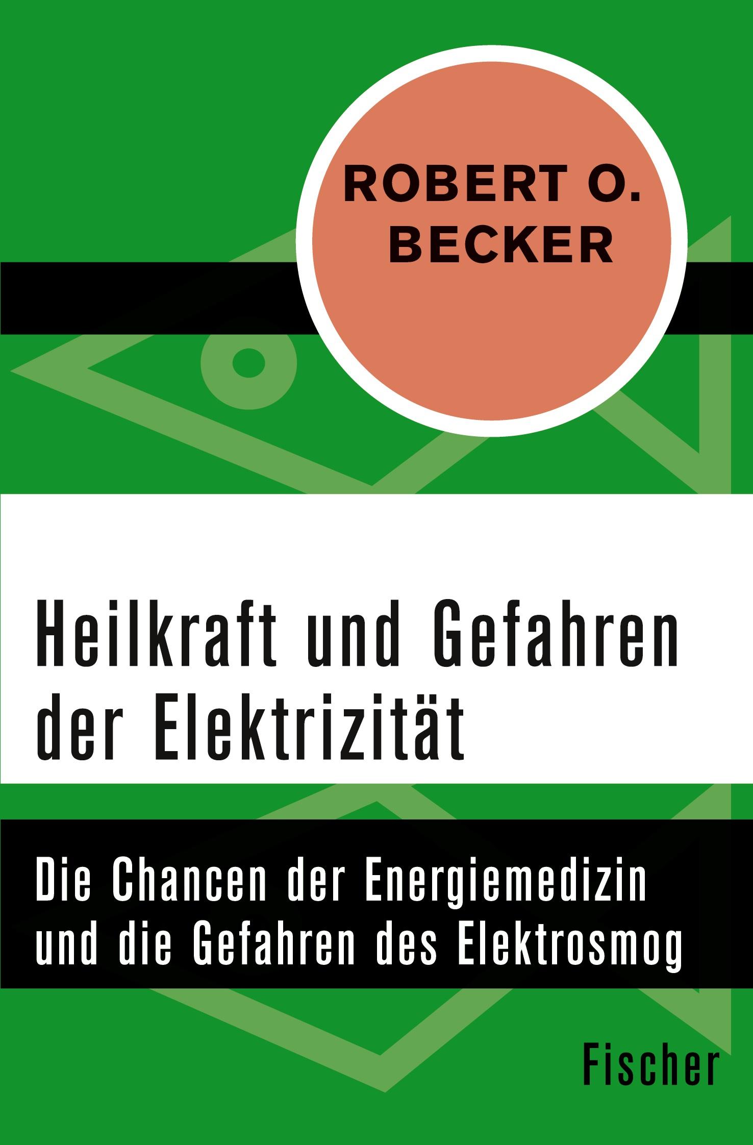 Vorderes Coverbild Heilkraft und Gefahren der Elektrizität