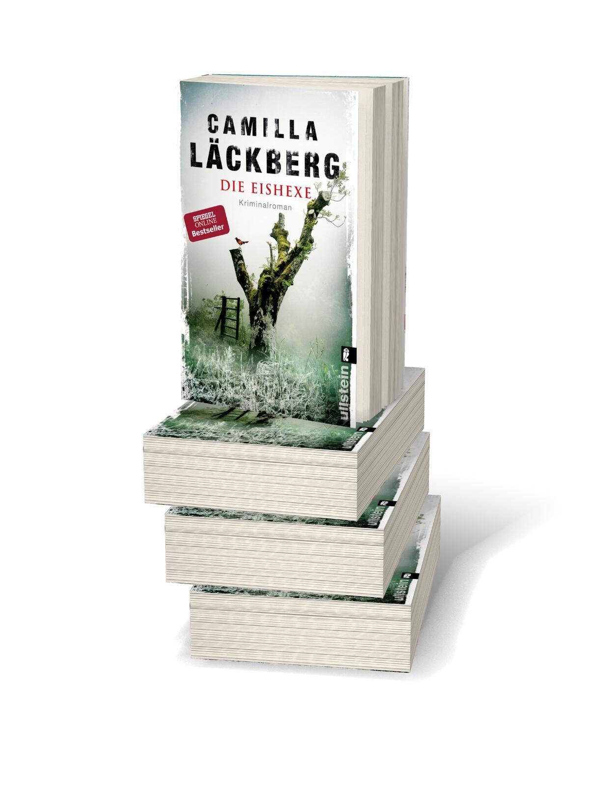 Beispielinhalt (Bild) Die Eishexe