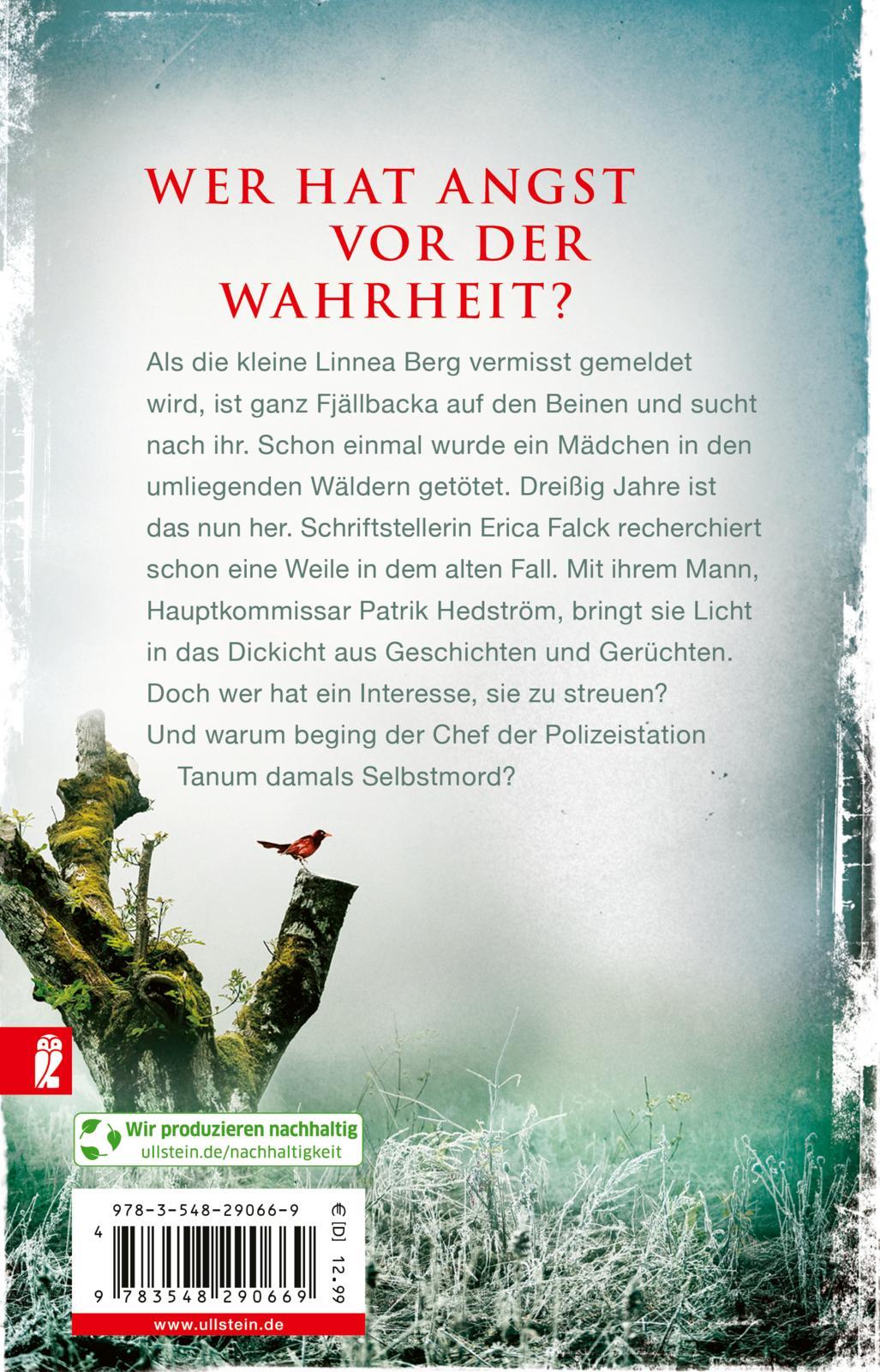 Rückseitencover Die Eishexe