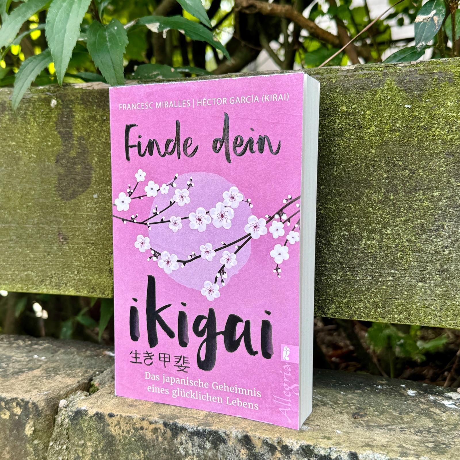 Beispielinhalt (Bild) Finde dein Ikigai