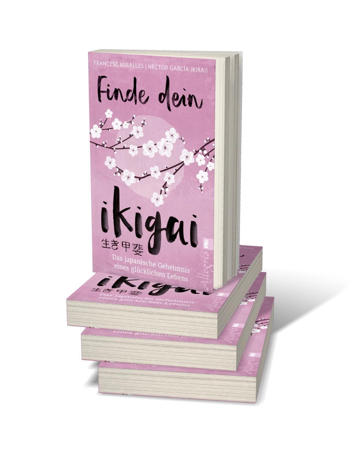 Beispielinhalt (Bild) Finde dein Ikigai