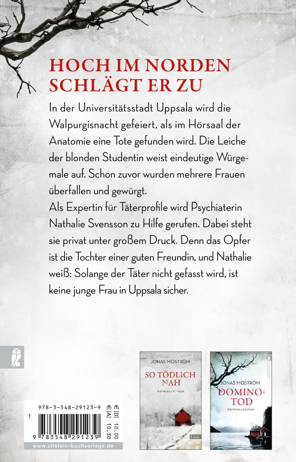 Rückseitencover Mitternachtsmädchen