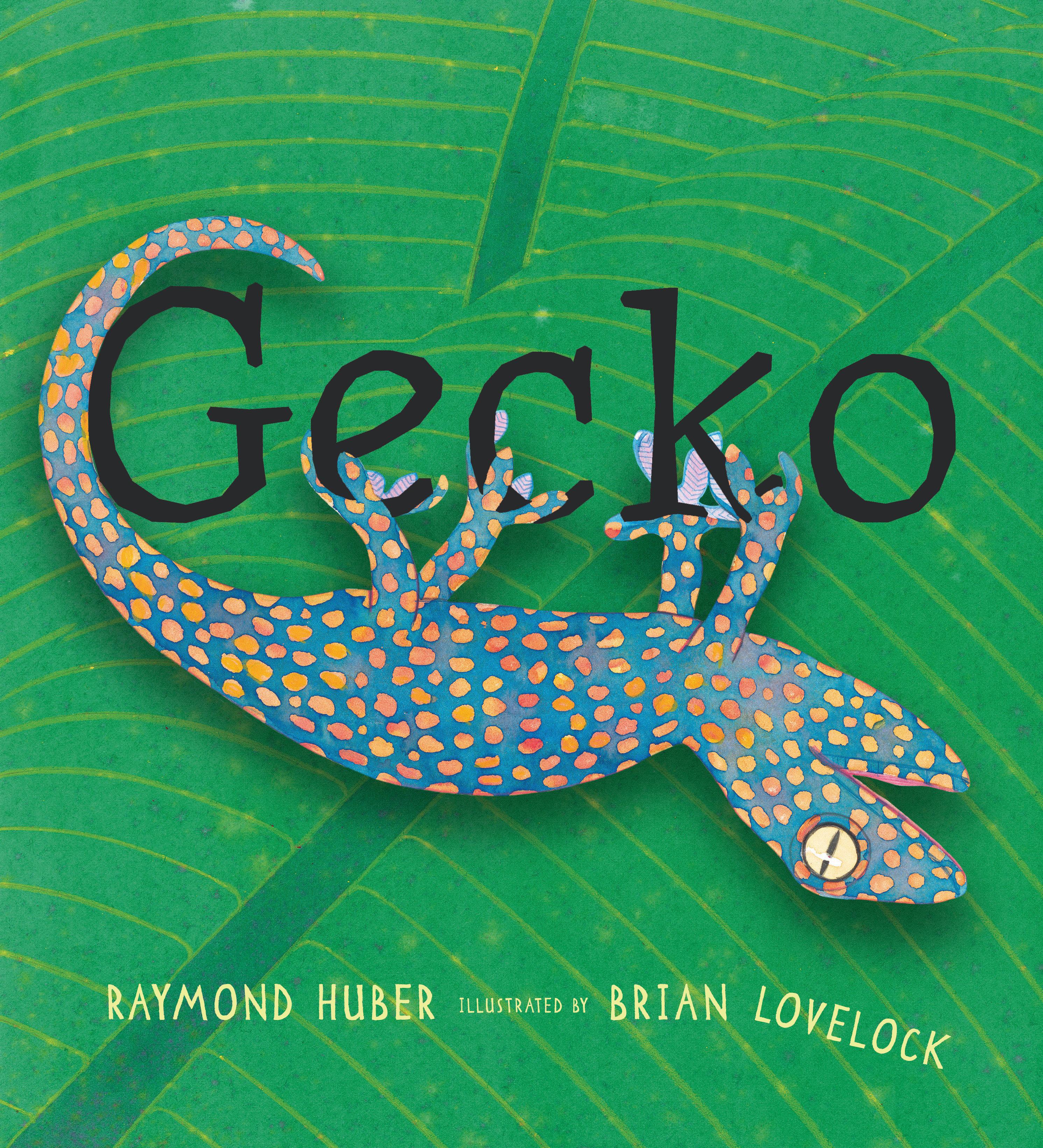 Vorderes Coverbild Gecko