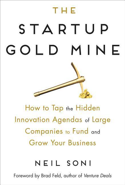 Vorderes Coverbild The Startup Gold Mine