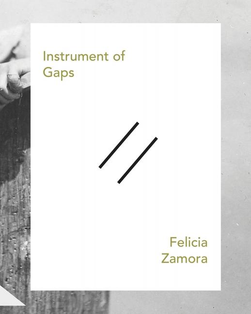 Vorderes Coverbild Instrument of Gaps