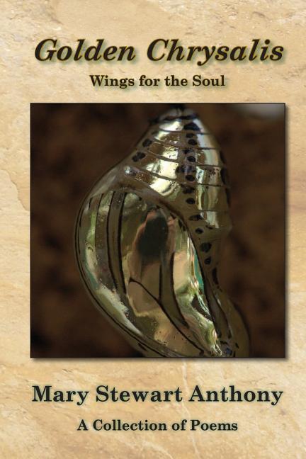 Vorderes Coverbild Golden Chrysalis