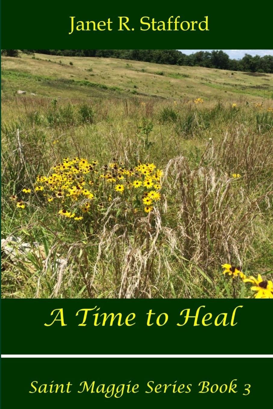 Vorderes Coverbild A Time to Heal