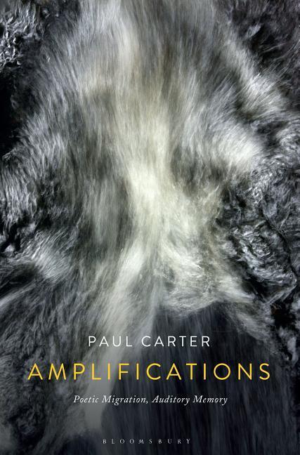 Vorderes Coverbild Amplifications