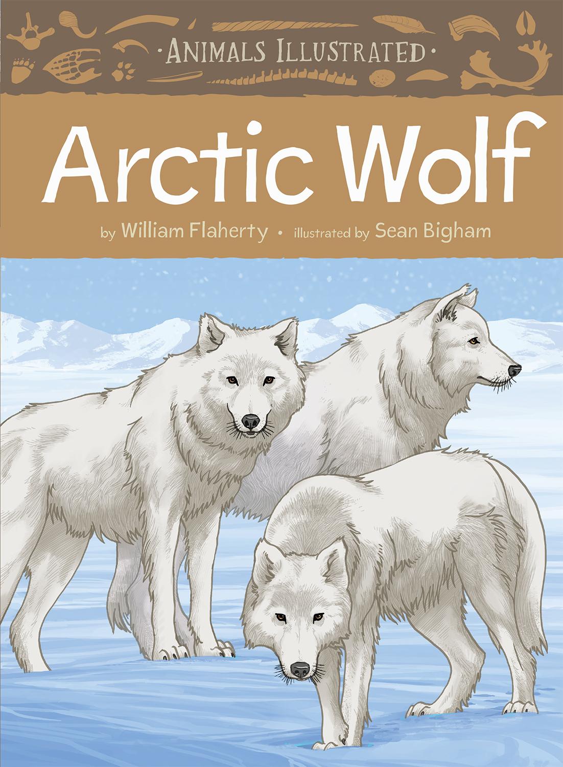 Vorderes Coverbild Animals Illustrated: Arctic Wolf