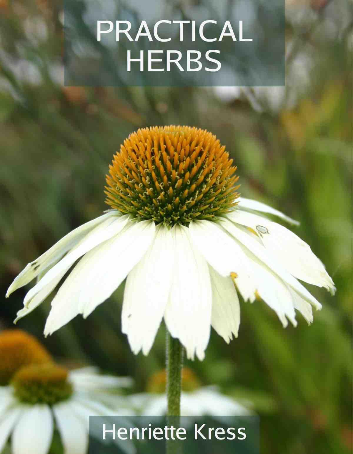Vorderes Coverbild Practical Herbs 1