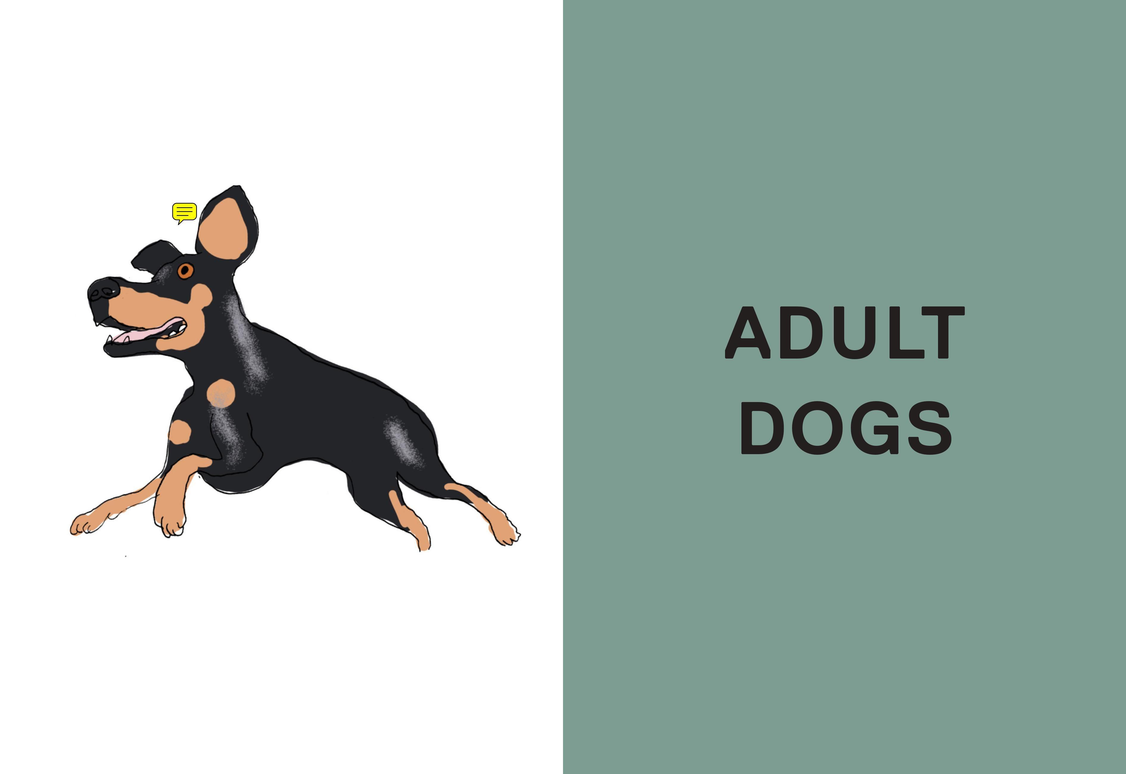 Beispielinhalt (Bild) Feed Me