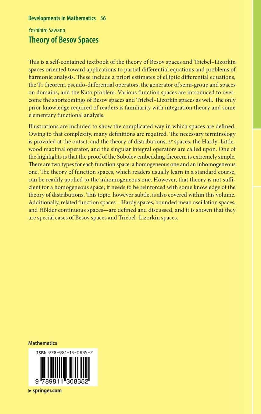 Rückseitencover Theory of Besov Spaces