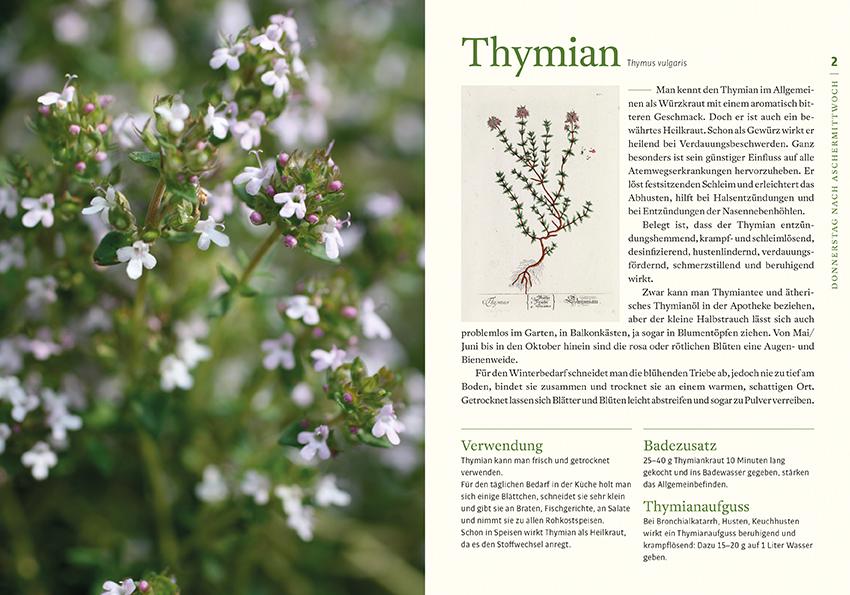 Beispielinhalt (Bild) Kraftquelle Klostergarten