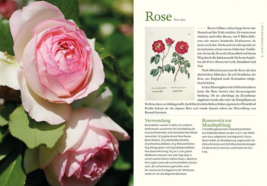 Beispielinhalt (Bild) Kraftquelle Klostergarten