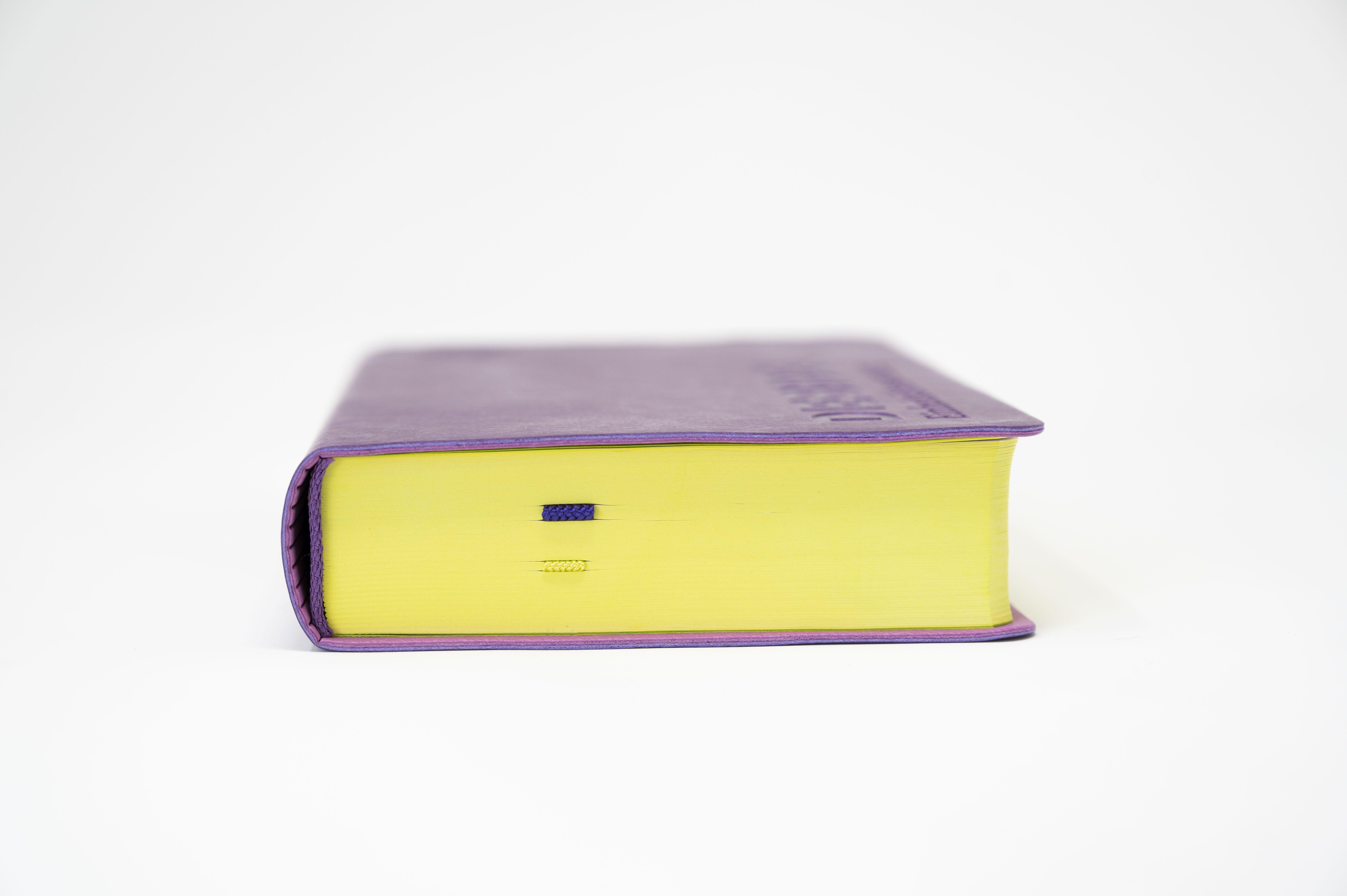 Beispielinhalt (Bild) Die Bibel. Senfkorn, Handschmeichler lila