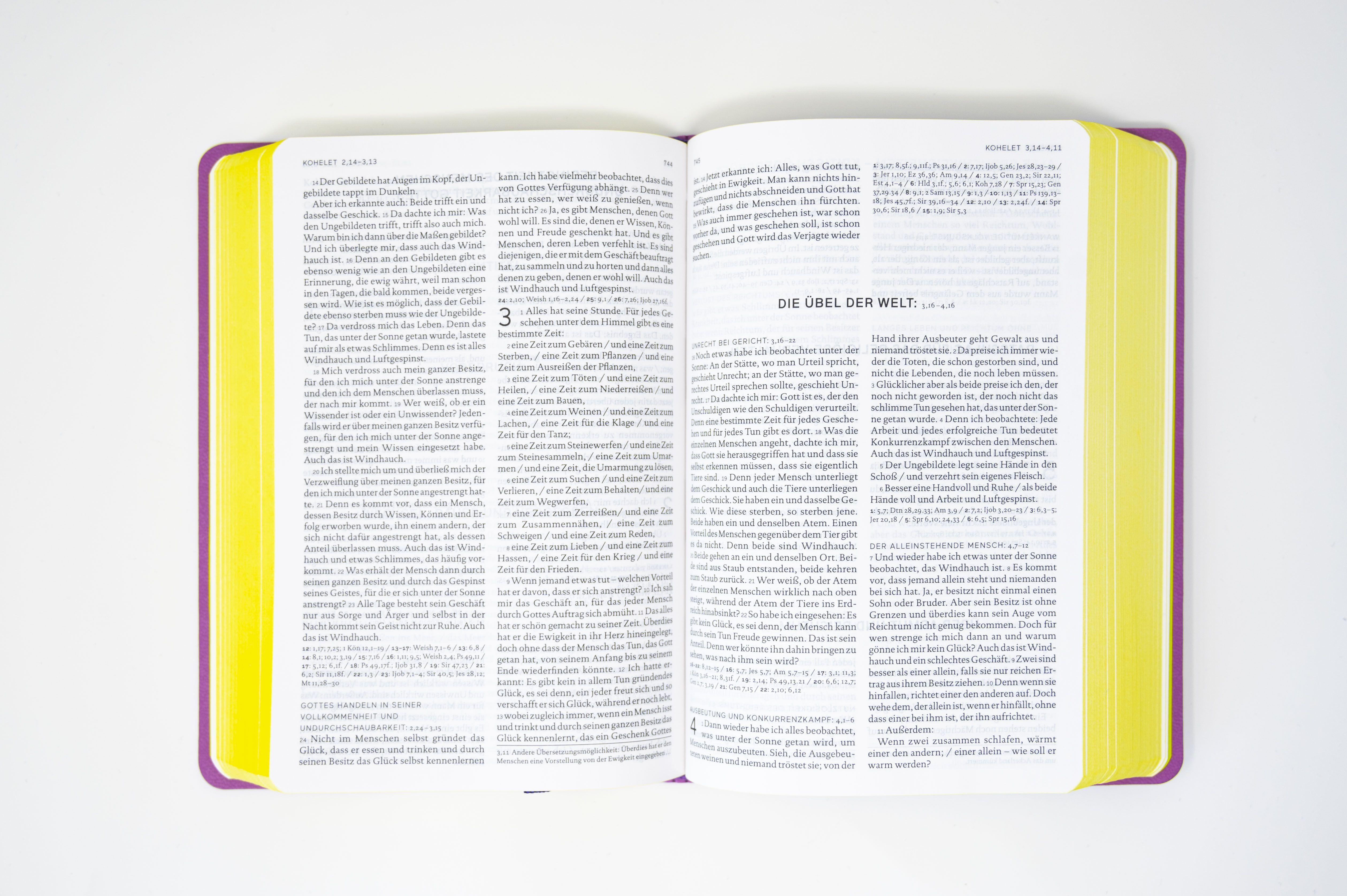 Beispielinhalt (Bild) Die Bibel. Senfkorn, Handschmeichler lila