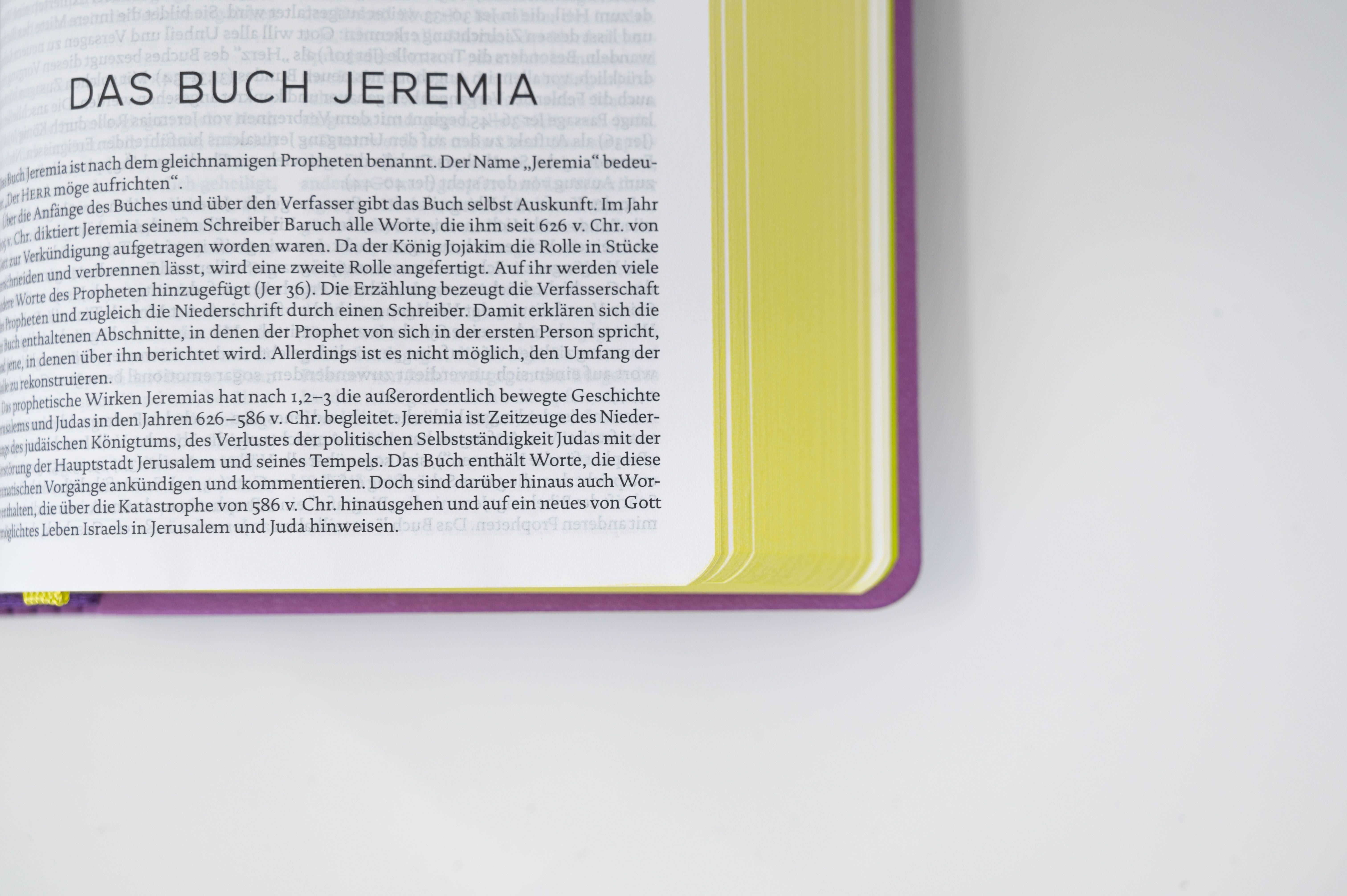 Beispielinhalt (Bild) Die Bibel. Senfkorn, Handschmeichler lila