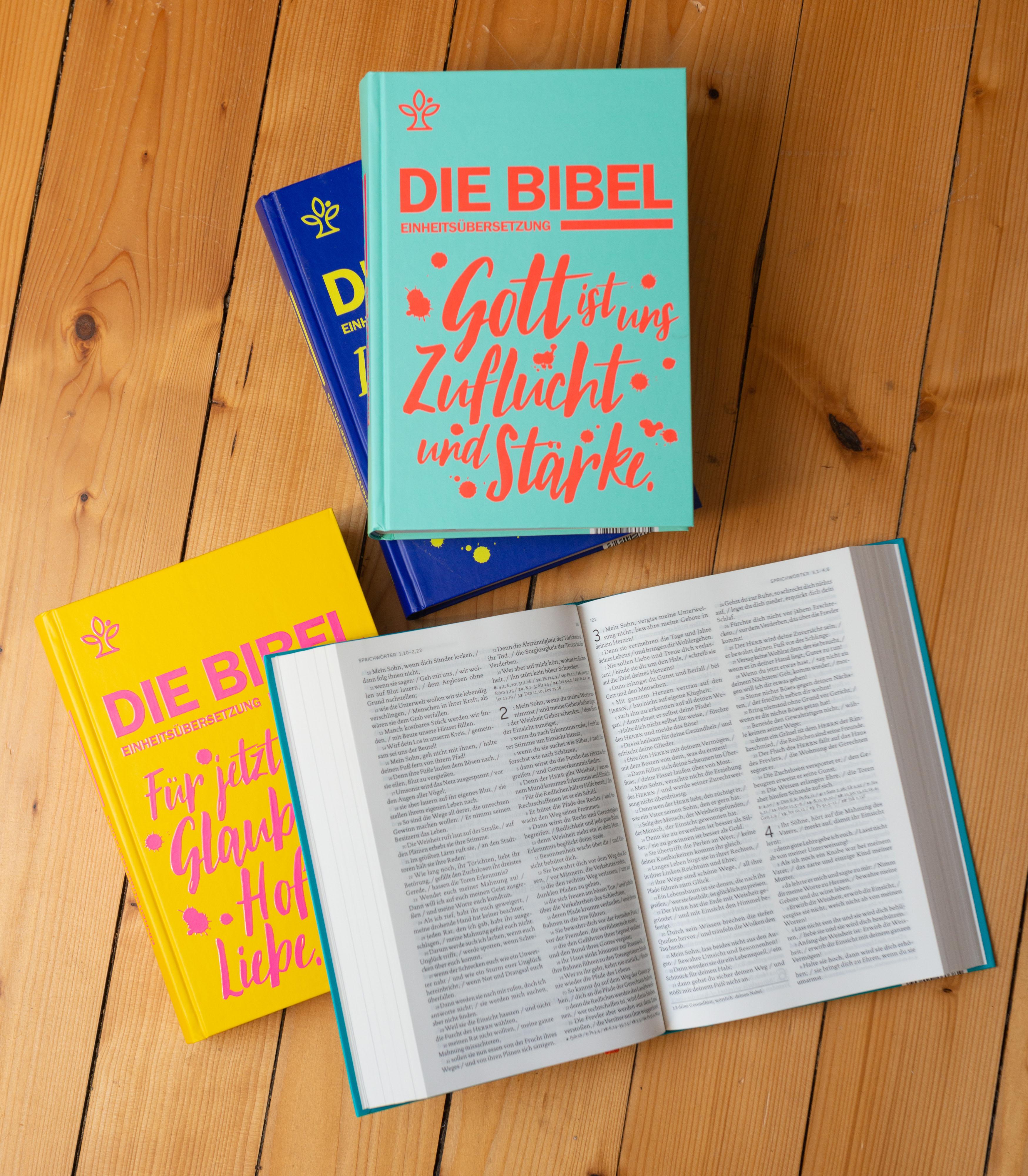 Beispielinhalt (Bild) Schulbibel Einheitsübersetzung