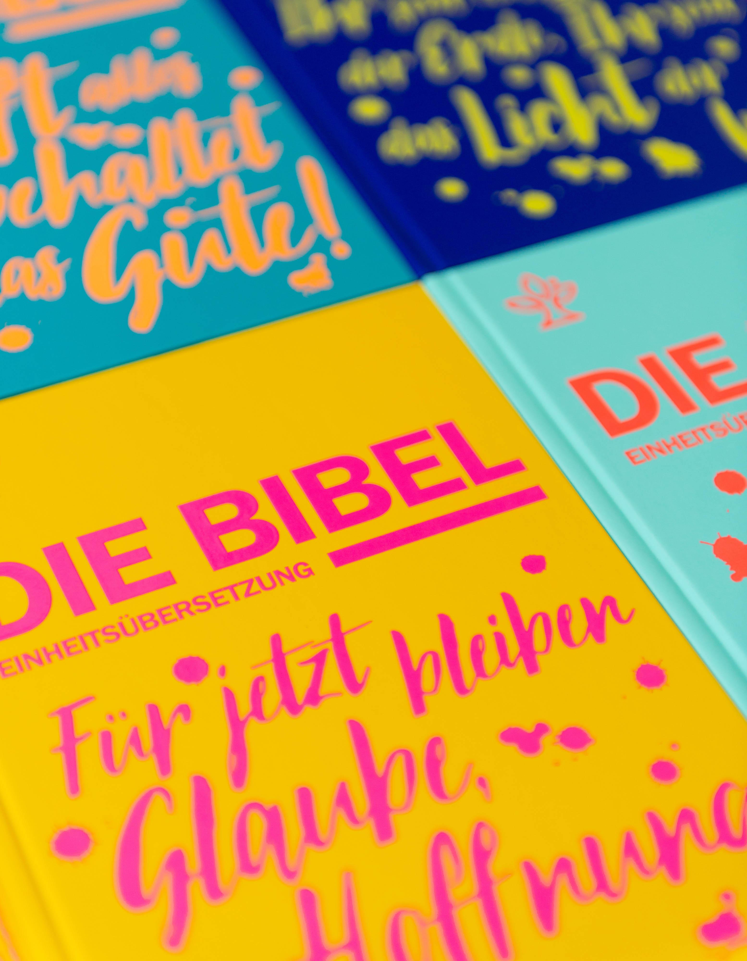 Beispielinhalt (Bild) Schulbibel Einheitsübersetzung