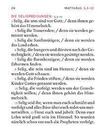 Beispielinhalt (Bild) Klein-Ausgabe 4 Evangelien