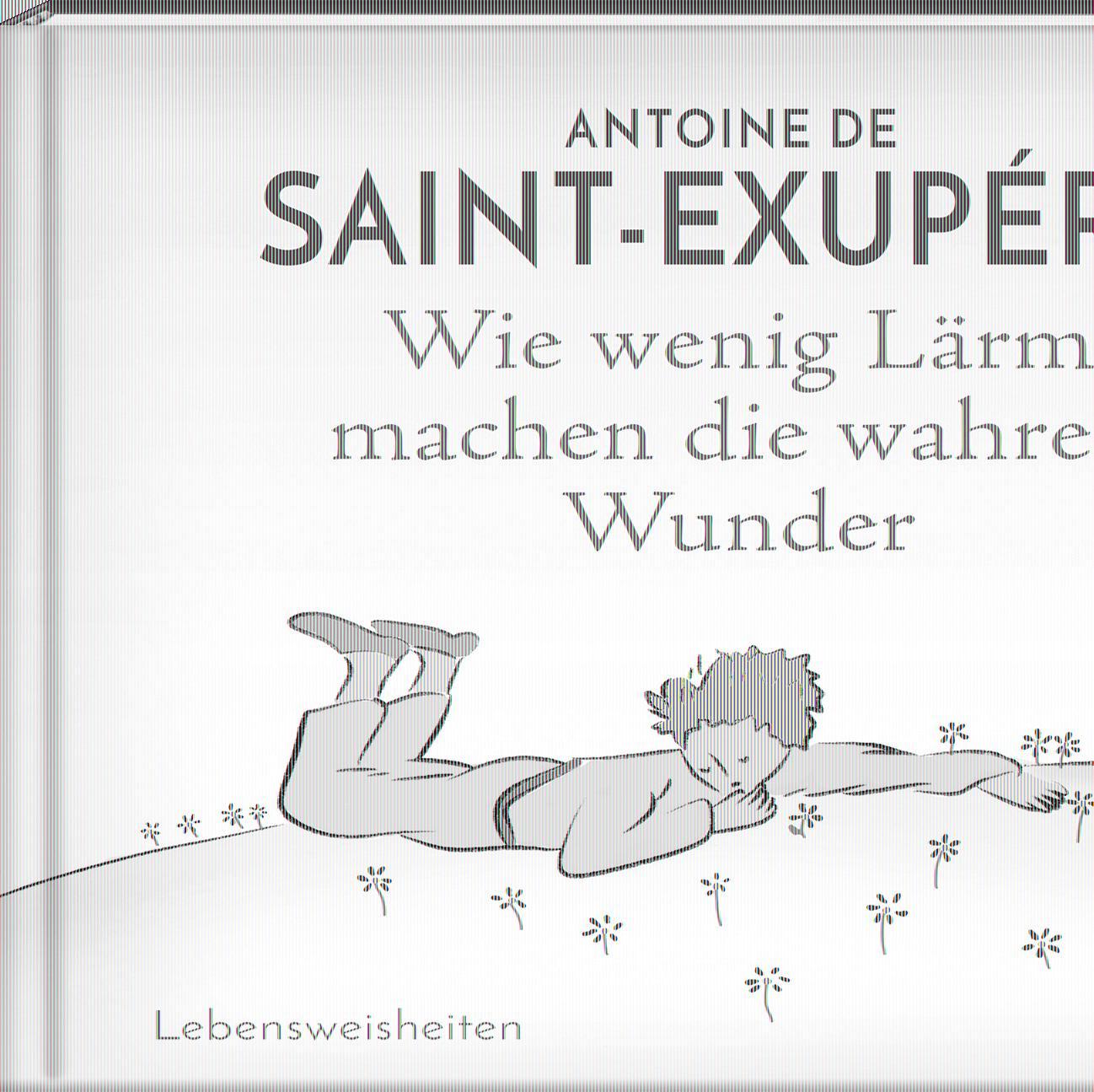 Vorderes Coverbild Wie wenig Lärm machen die wahren Wunder