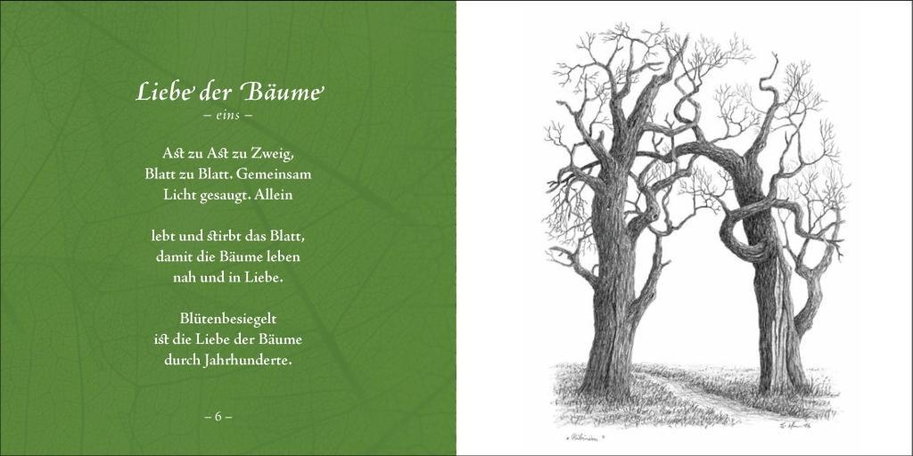 Beispielinhalt (Bild) Bäume