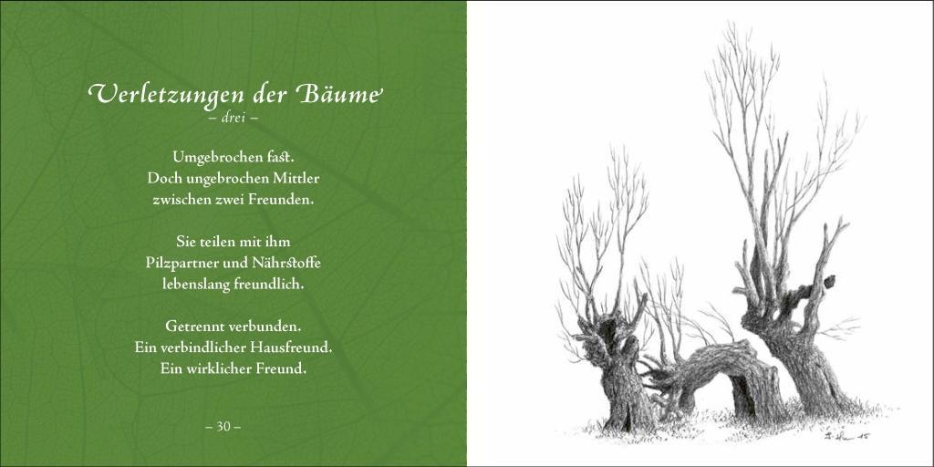 Beispielinhalt (Bild) Bäume