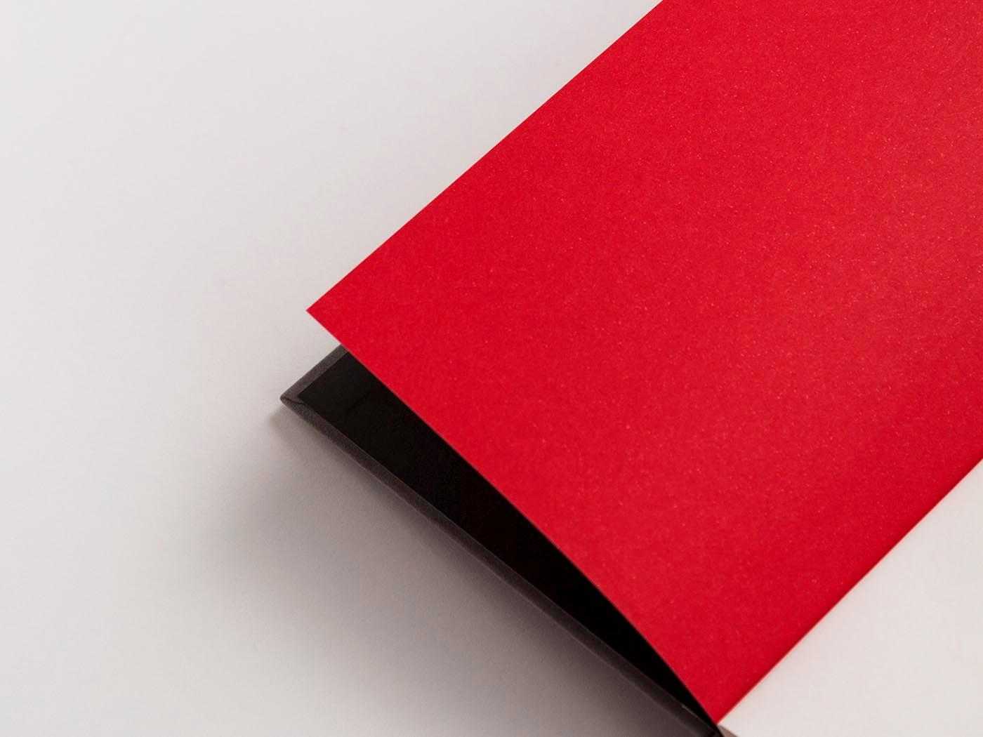 Beispielinhalt (Bild) Der Consolidator