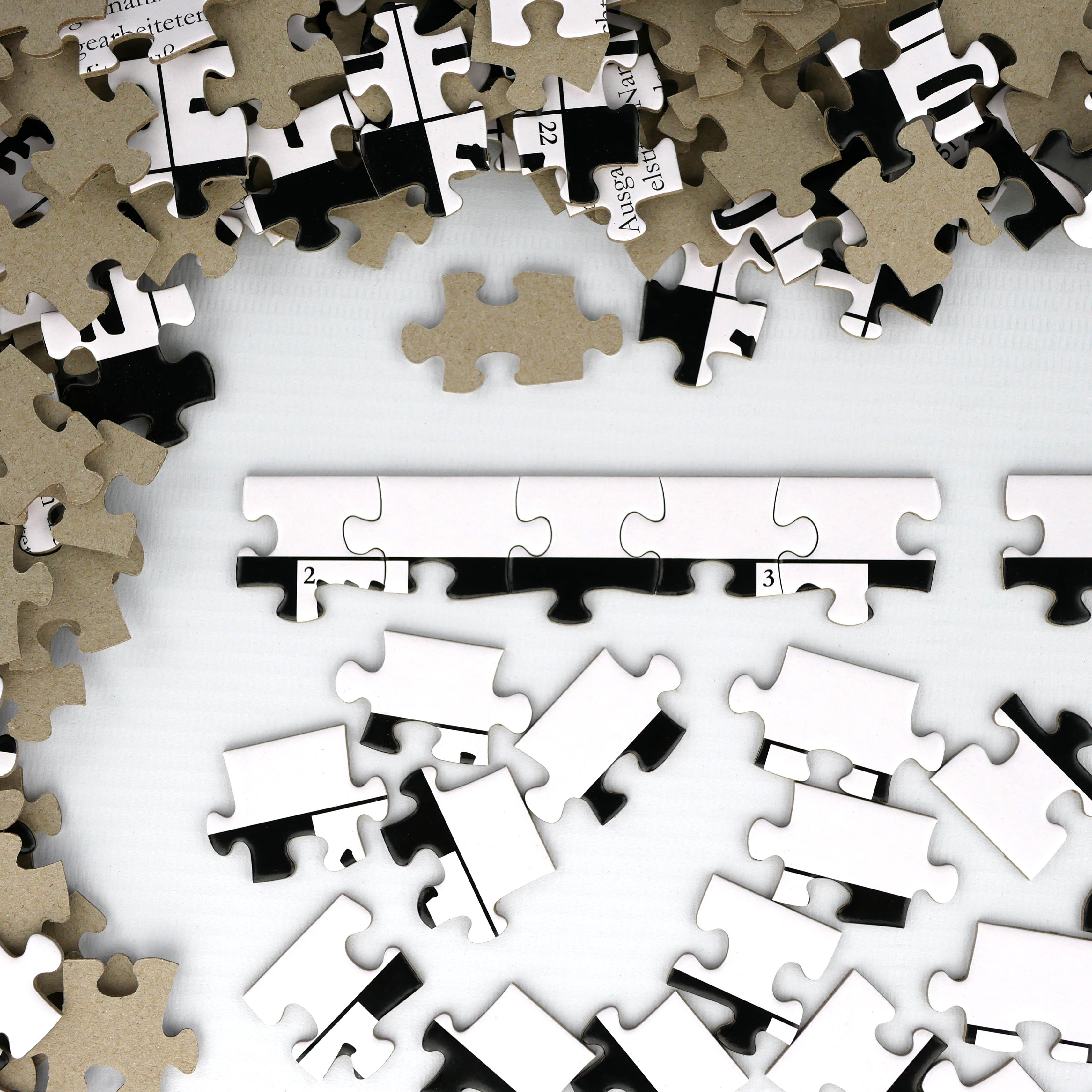 Beispielinhalt (Bild) Das geniale Rätsel-Puzzle