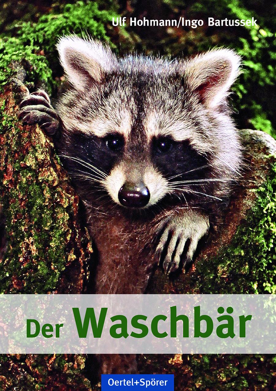 Vorderes Coverbild Der Waschbär