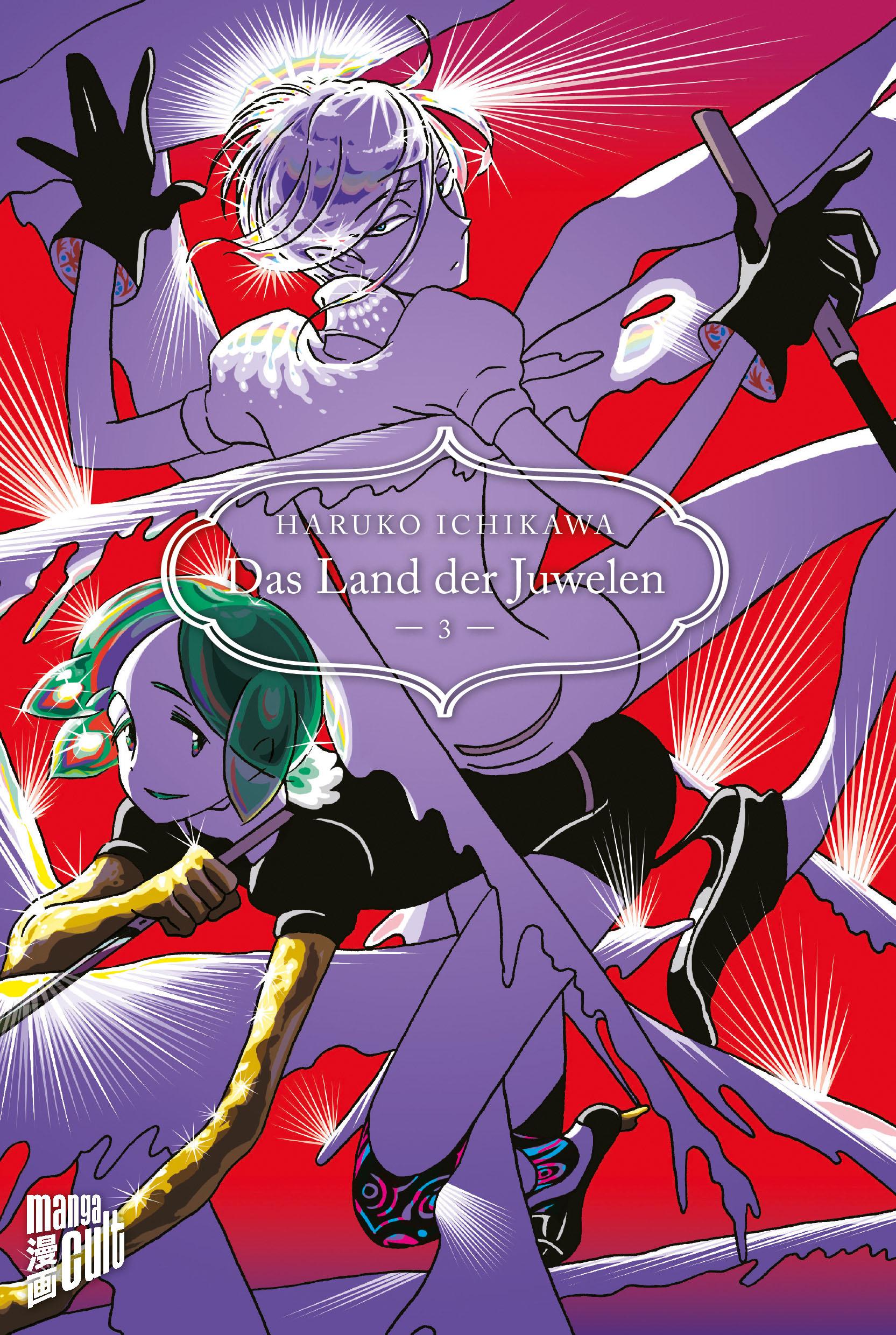 Vorderes Coverbild Das Land der Juwelen 3