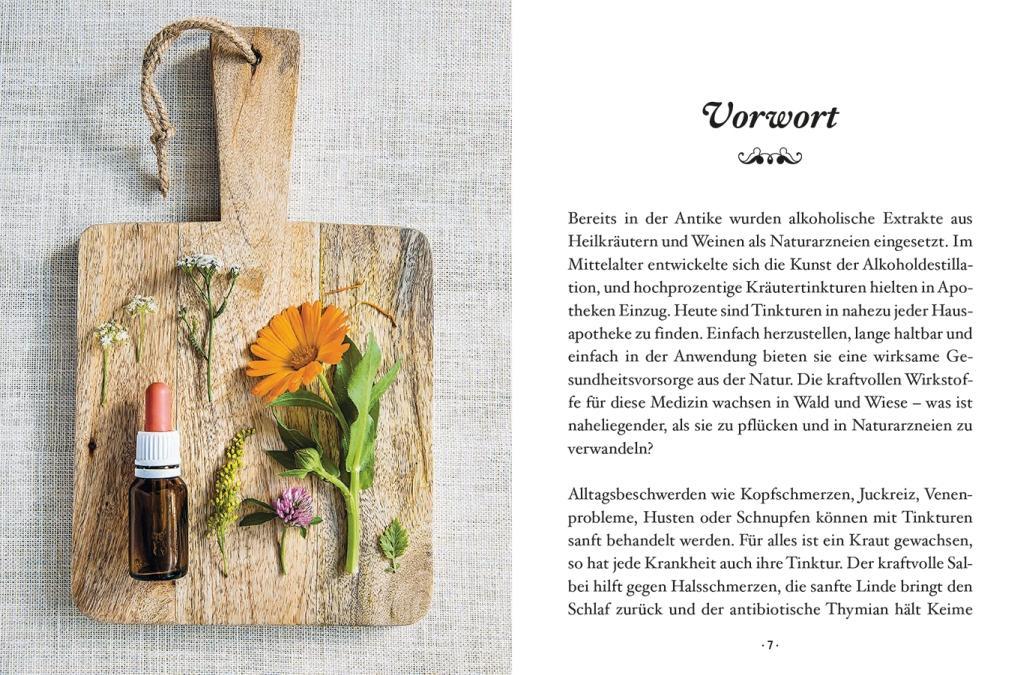 Beispielinhalt (Bild) Das kleine Buch: Heiltinkturen aus Wald und Wiese