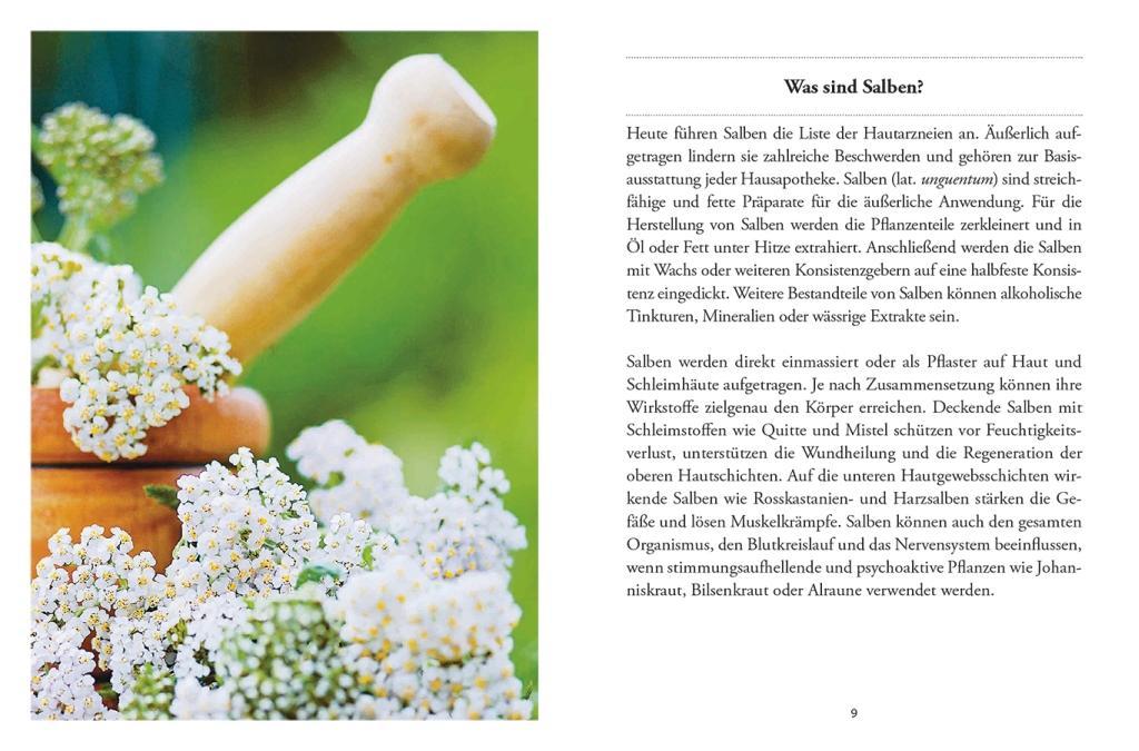 Beispielinhalt (Bild) Das große kleine Buch: Heilsalben aus Wald und Wiese