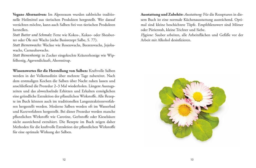 Beispielinhalt (Bild) Das große kleine Buch: Heilsalben aus Wald und Wiese