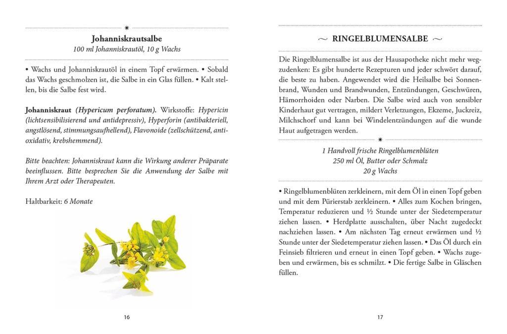 Beispielinhalt (Bild) Das große kleine Buch: Heilsalben aus Wald und Wiese