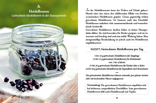 Beispielinhalt (Bild) Das kleine Buch: Vergessene Hausmittel