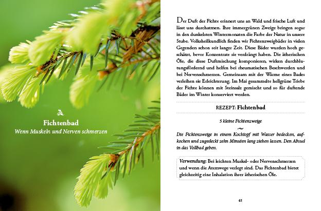 Beispielinhalt (Bild) Das kleine Buch: Vergessene Hausmittel