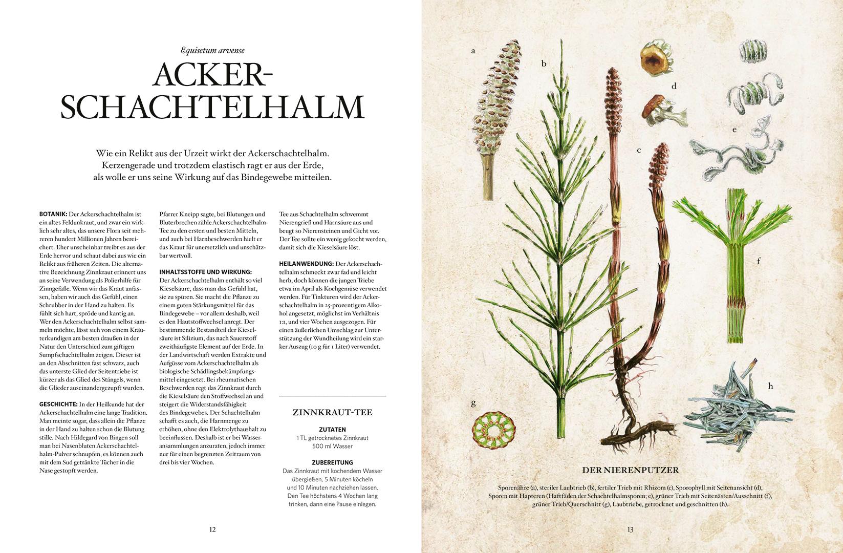 Beispielinhalt (Bild) Die Natur-Apotheke