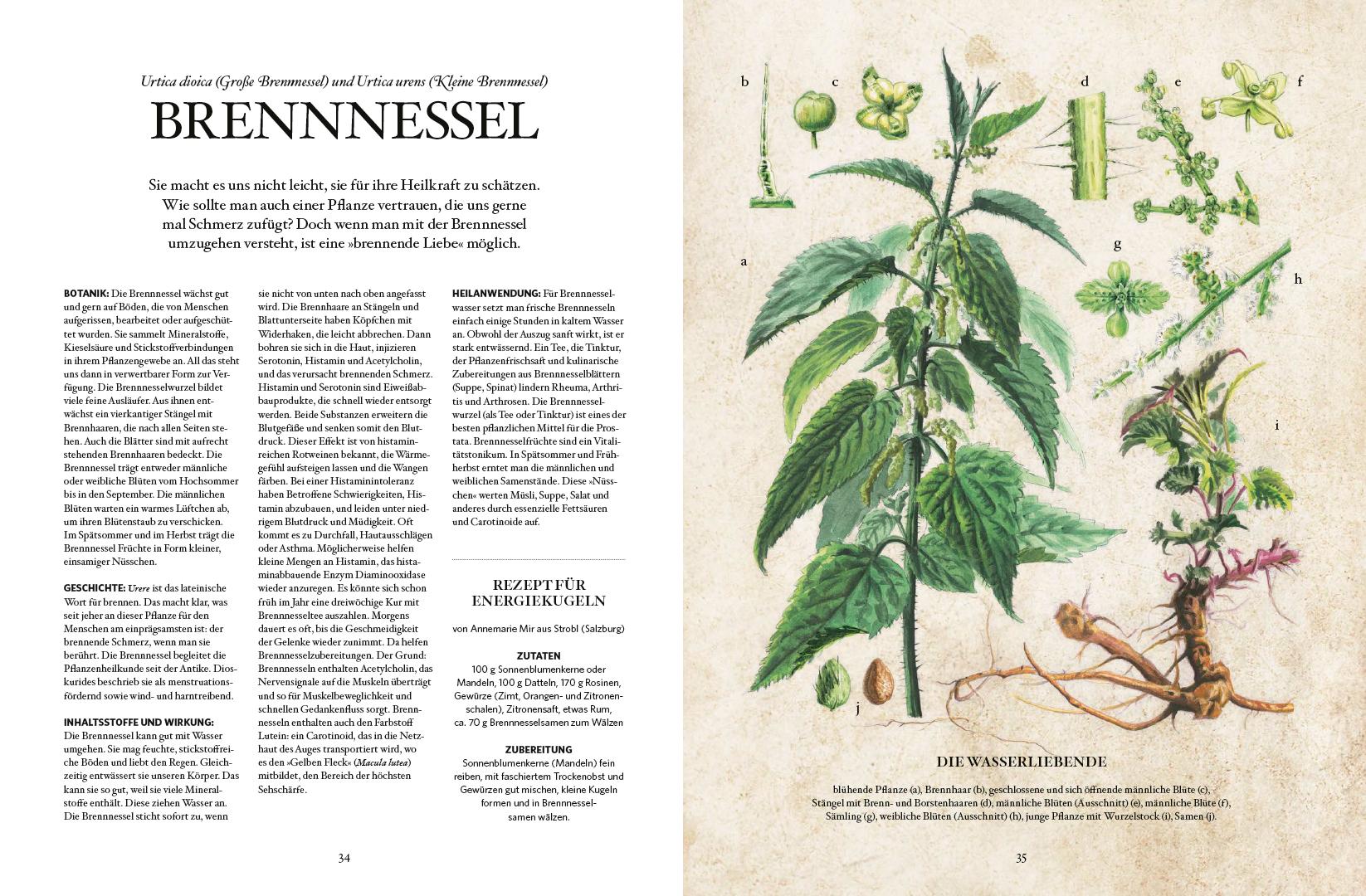 Beispielinhalt (Bild) Die Natur-Apotheke