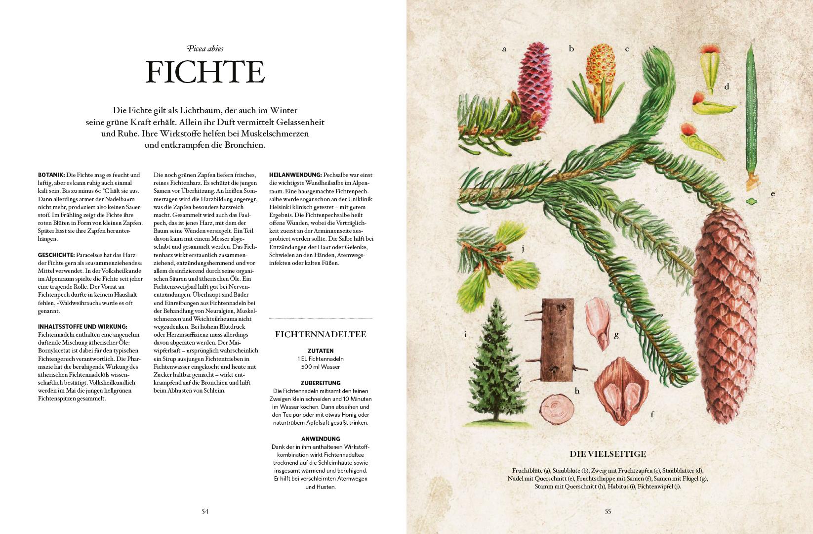Beispielinhalt (Bild) Die Natur-Apotheke