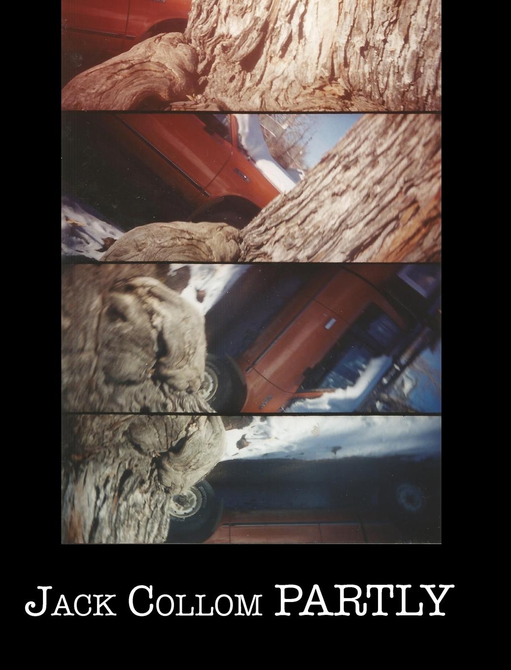 Vorderes Coverbild Partly