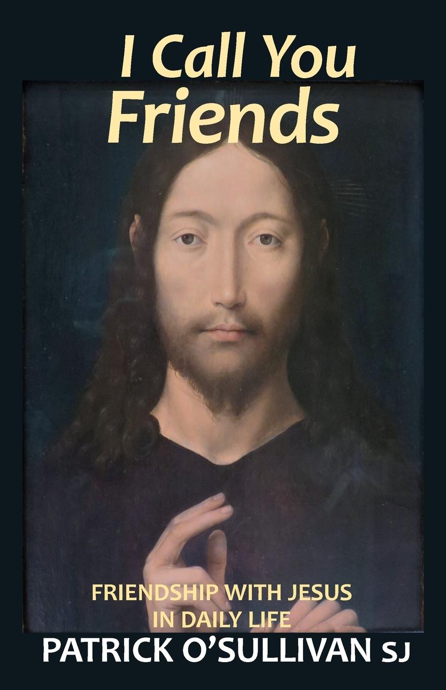 Vorderes Coverbild I Call You Friends