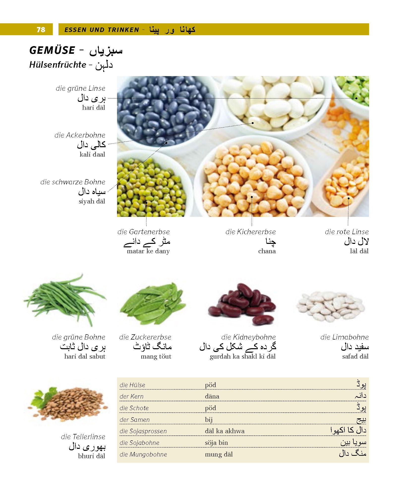 Beispielinhalt (Bild) PONS Bildwörterbuch Urdu