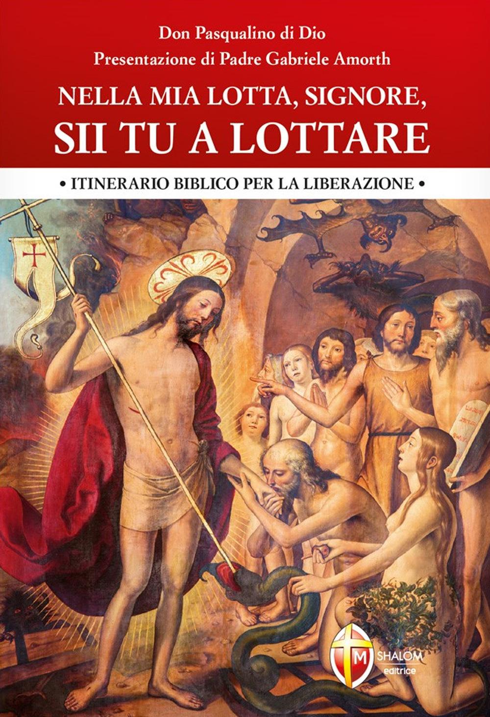 Vorderes Coverbild Nella mia lotta, Signore, sii tu a lottare. Itinerario biblico per la liberazione
