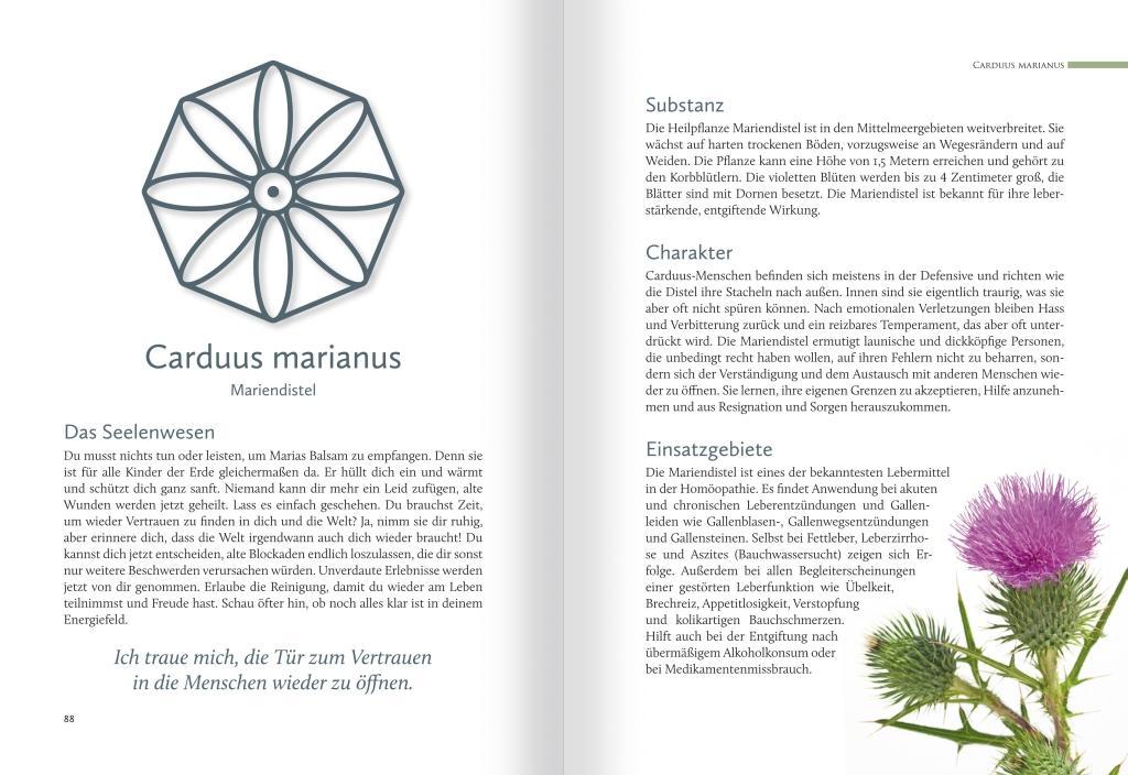 Beispielinhalt (Bild) Homöopathische Symbolapotheke