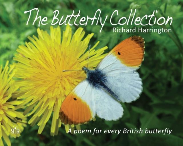 Vorderes Coverbild The Butterfly Collection