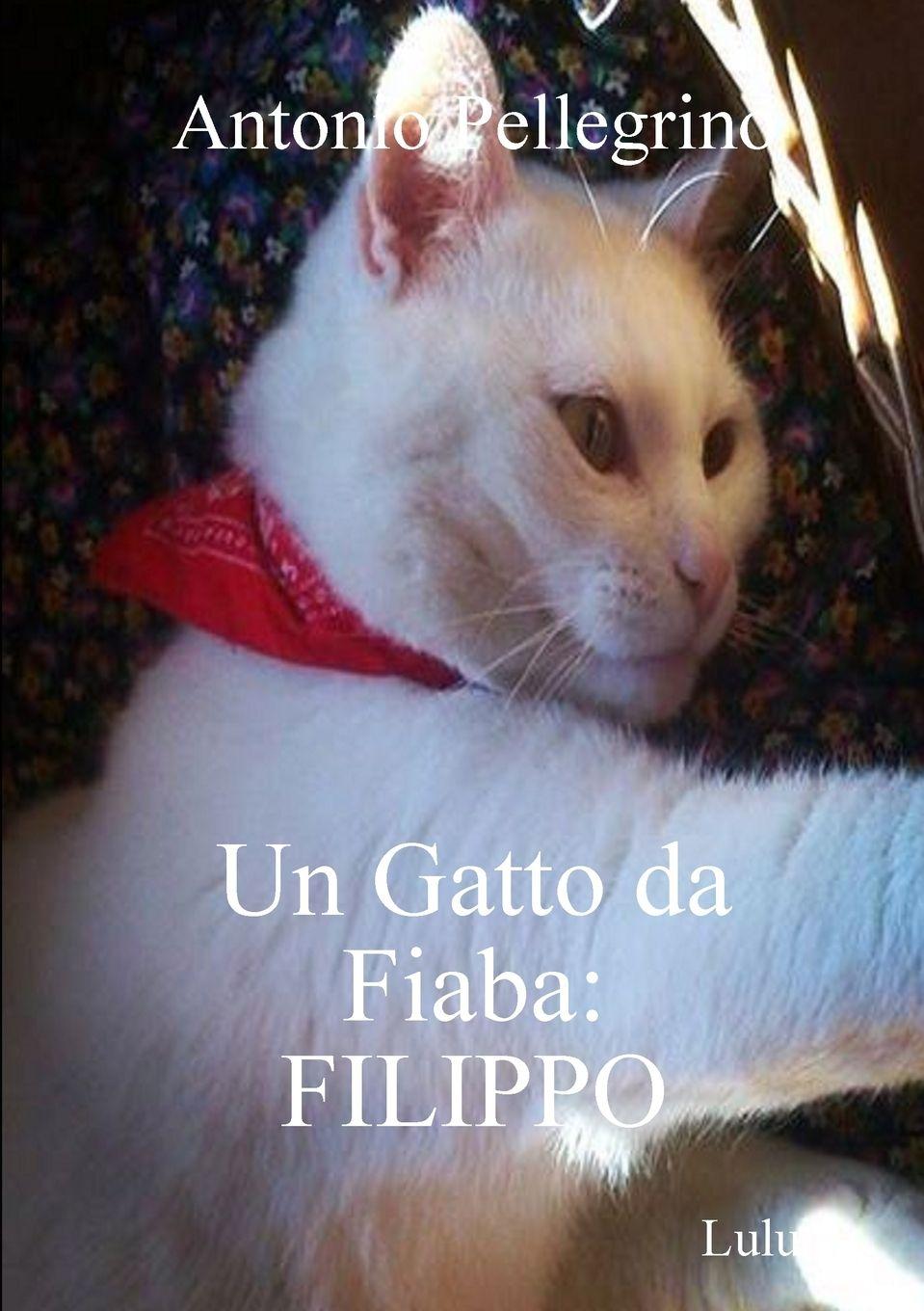 Vorderes Coverbild Un Gatto da Fiaba